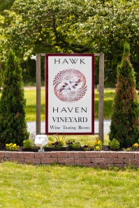 Hawk Haven.IMG_0490